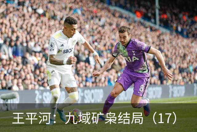 王平河：九域矿枭结局（1/7）