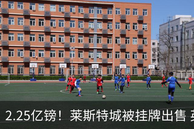 2.25亿镑！莱斯特城被挂牌出售 英超蓝狐童话或成永恒回忆